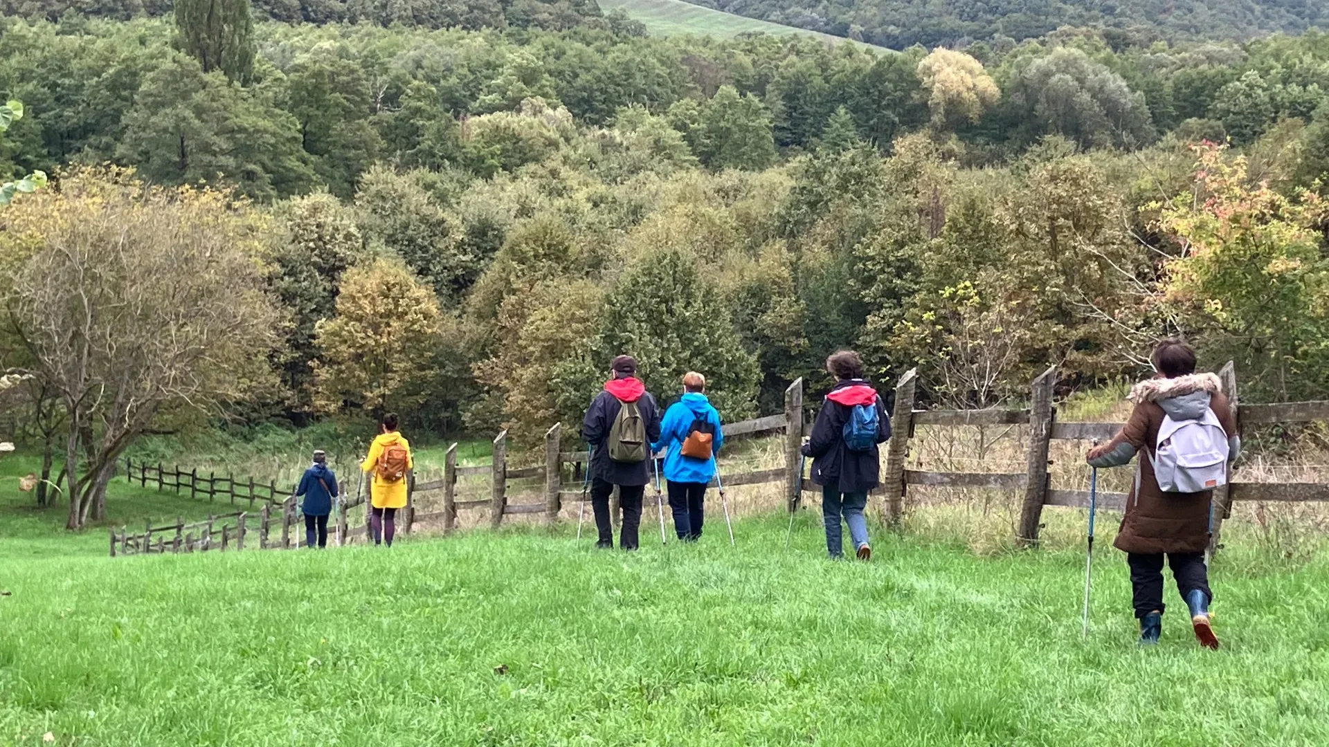 Mánfa;Cor-Way gyaloglás