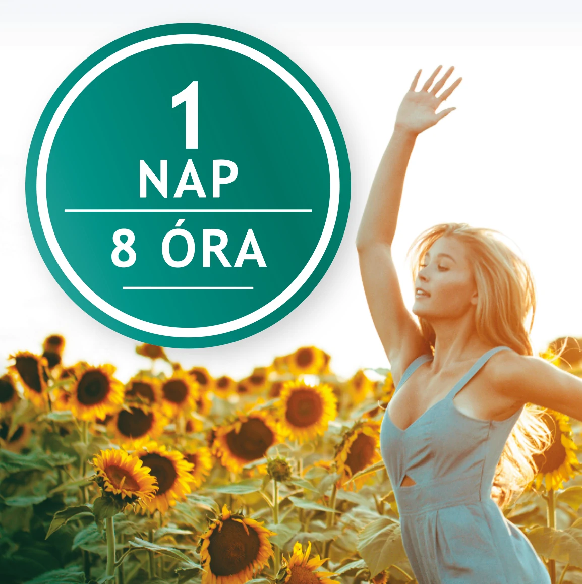 CSOPORTOS FOGLALKOZÁSOK