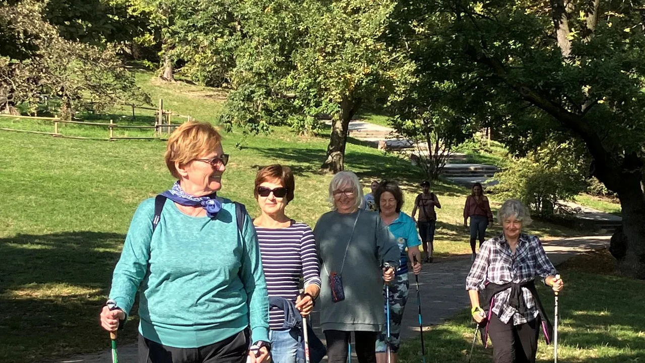 Lépésről lépésre-élménytréning