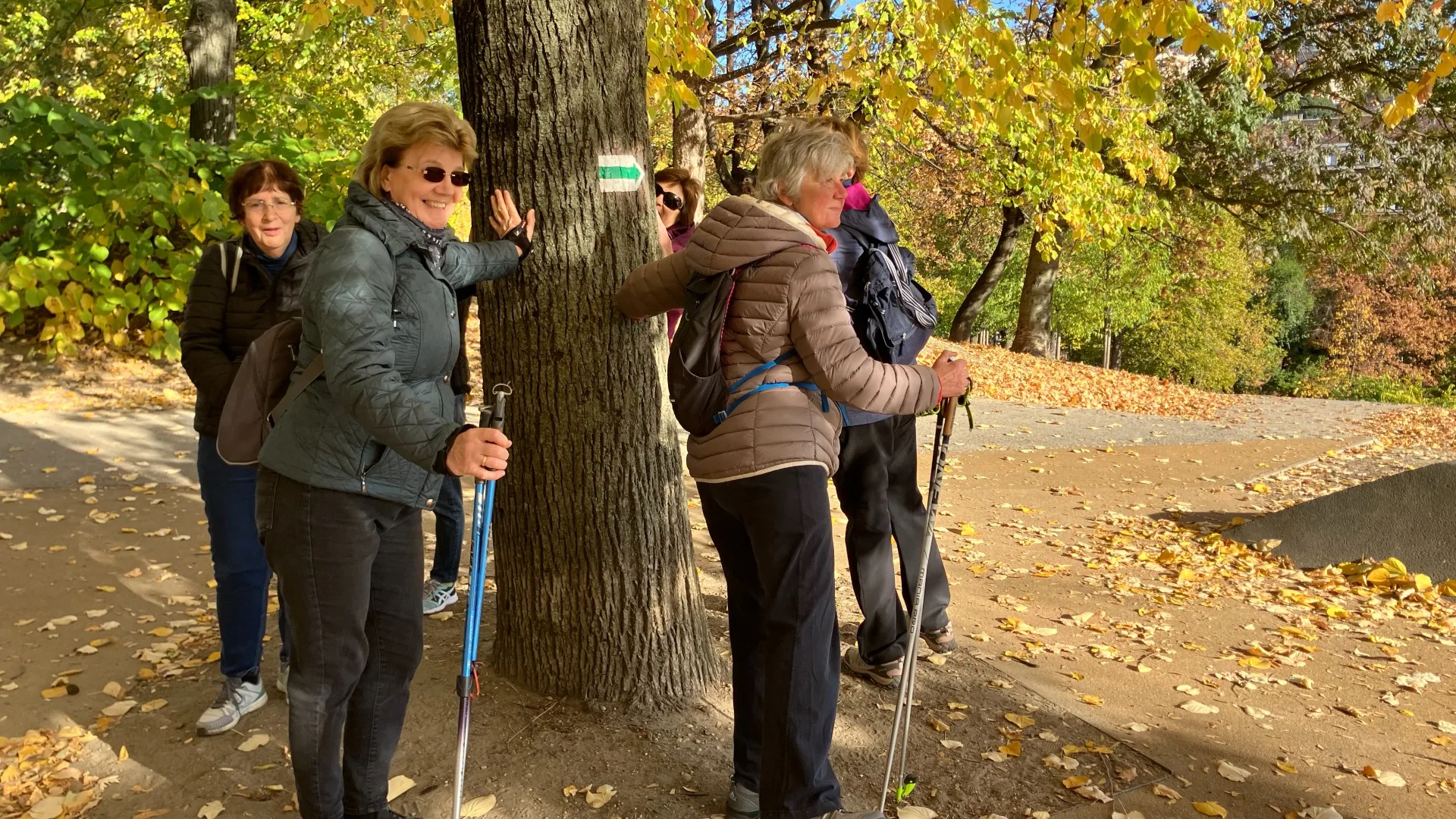 Egész évben mozgásban!