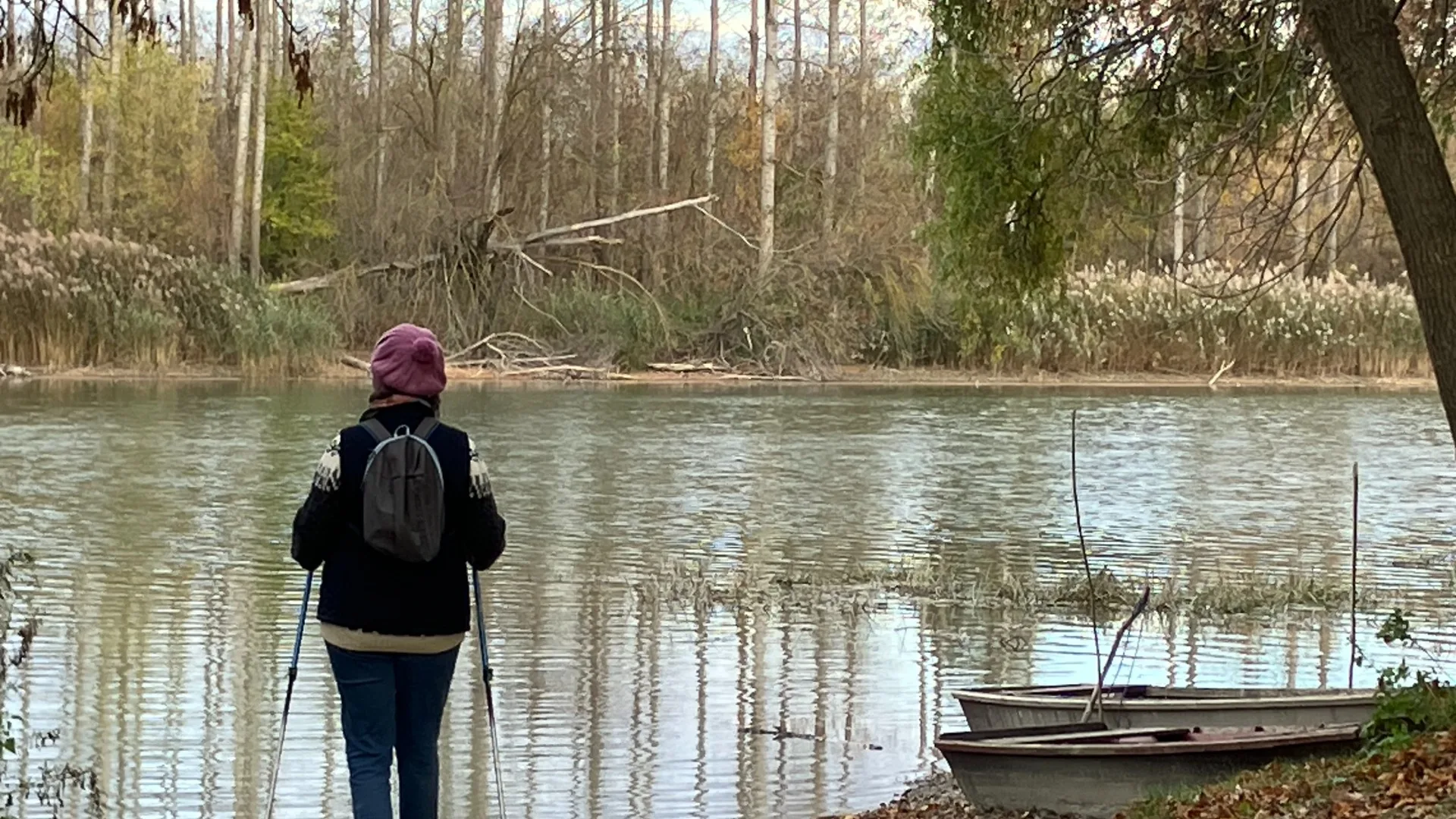 Dunasziget; Szemlélődés